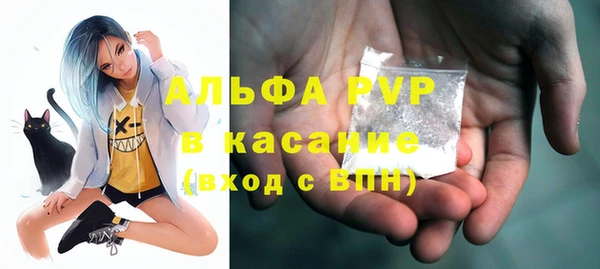 индика Баксан
