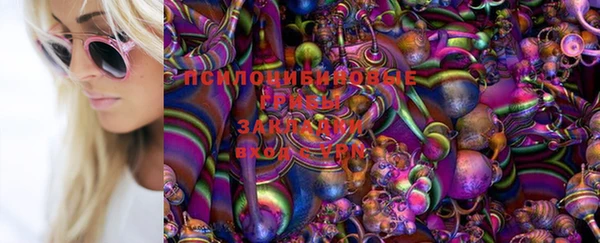 дурь Аркадак