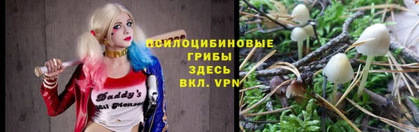 дурь Арсеньев