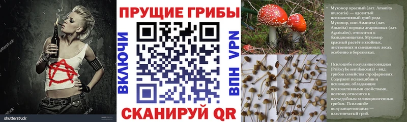 Галлюциногенные грибы Psilocybine cubensis  как найти закладки  MEGA вход  Инза 